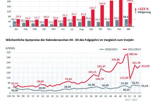 Strompreis Entwicklung Uebersicht DE.jpg